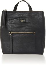 Fiorelli Lexi black backpack , Backpacks , Shoulder straps.